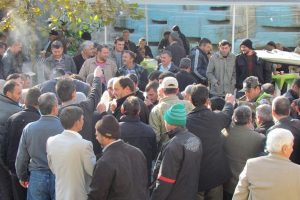 Zeytin &uuml;reticileri yağmur duasına &ccedil;ıktı