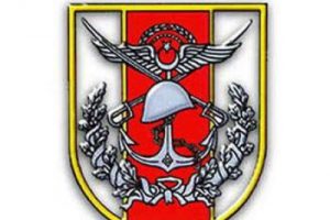 T&uuml;rk savaş u&ccedil;aklarına taciz