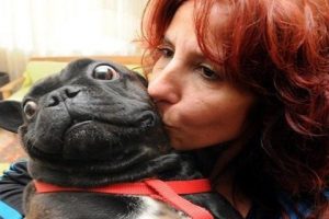 Hacz edilen k&ouml;pek bakın nasıl kurtuldu