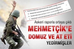 Mehmet&ccedil;ike at ve domuz eti iddiası