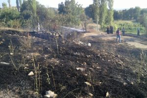 Harmancık'ta 2 d&ouml;n&uuml;m arazi k&uuml;l oldu