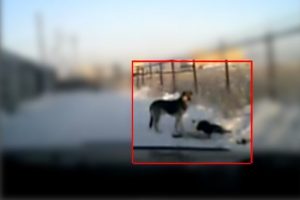 &Ouml;len arkadaşının başında saatlerce bekledi