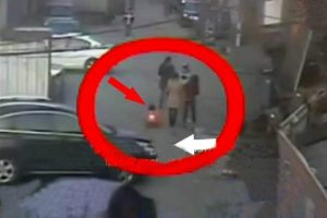 5 yaşındaki kızın inanılmaz kurtuluşu