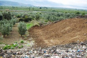 Bursa'nın en verimli ovası nefes alıyor