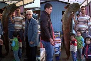 G&ouml;lde 2,5 metre balık yakalandı