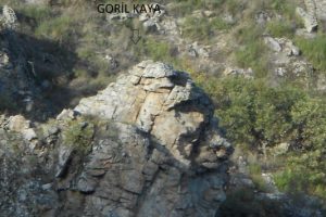 Kayadaki goril sil&uuml;eti şaşırtıyor