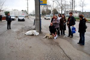 Sık sık kaza olan yolda bu defa kurban kanı aktı
