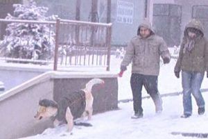 Ankara ve İstanbul kara teslim