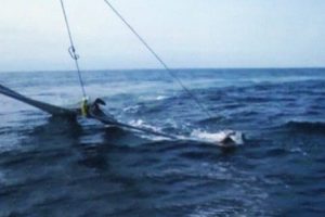 Marmara'daki b&uuml;y&uuml;k tehlike