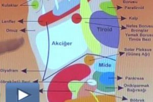 Ayaklarınızdaki ağrıları k&uuml;&ccedil;&uuml;msemeyin!