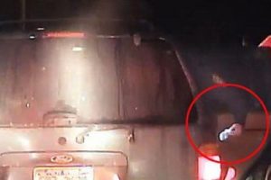 Bu kez polise su&ccedil;&uuml;st&uuml; yapıldı