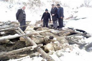Engelli şahıs kar y&uuml;z&uuml;nden &ccedil;&ouml;ken ahırın altında kaldı
