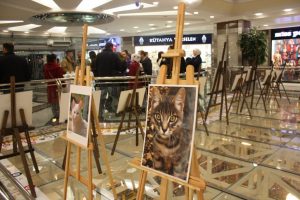 AS Merkez Outlet'te "Kedi" sergisi