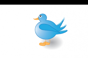 Her saniye 11 yeni twitter hesabı a&ccedil;ılıyor