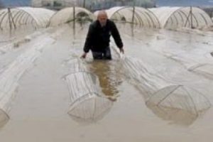 Muz ve &ccedil;ilek seraları sular altında