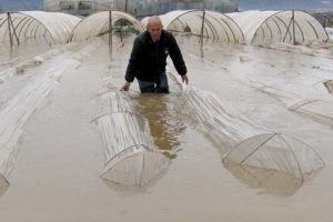 Muz ve &ccedil;ilek seraları sular altında