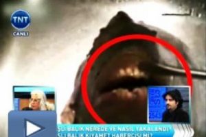 İnsan dişli balık kıyamet habercisi mi?