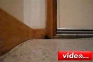 &Ouml;r&uuml;mcek ezmeden bir kez daha d&uuml;ş&uuml;n&uuml;n