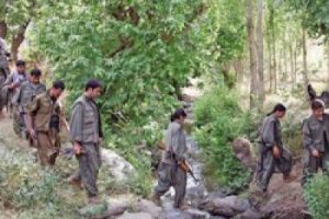 Beşşar Esad'ın PKK'lı askerleri