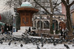 A&ccedil; kalan kuşların imdadına hayvansever koştu