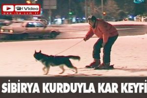 Sibirya kurduyla kayak keyfi