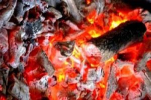 Bursa'da 9 kişi k&ouml;m&uuml;rden zehirlendi