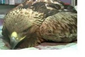 Bu kartal derbi saati yıkıldı