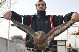 Yaralı doğana petrol istasyonu &ccedil;alışanları sahip &ccedil;ıktı