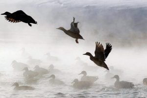 D&uuml;nyadaki en g&uuml;zel kış fotoğrafları
