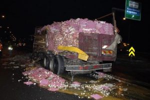 Bu kez yumurtalar TEM'i trafiğe kapattı