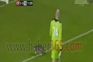 Sahaya giren kedi ma&ccedil;ı durdurdu