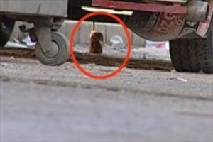 Sigara s&ouml;n&uuml;nce bomba patlamadı