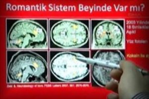 Aşk kalpte değil beyinde