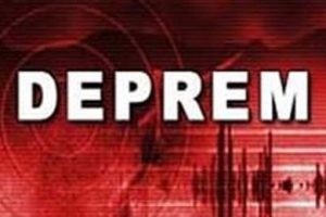 Van'da şiddetli deprem