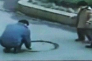 &Ccedil;inli babanın akıl almaz &ouml;l&uuml;m oyunu