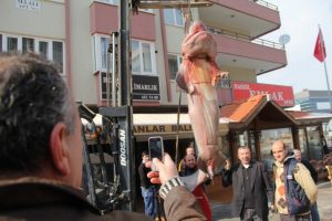 Bursa'da dev jaws