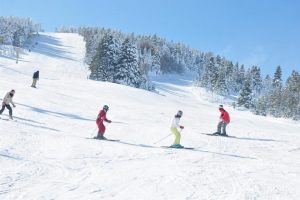 Uludağ'da kara doydu