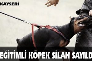 Cinsel tacizde kullanılan eğitimli k&ouml;pek mahkemece silah sayıldı