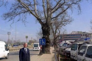 BursaRay hattına tarihi &ccedil;ınar engeli