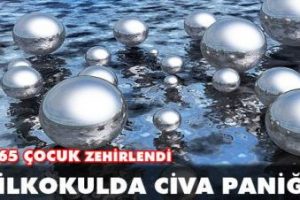 Civa bir okulu zehirledi