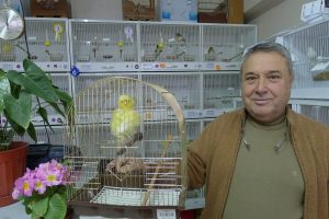 Kanaryalarımız d&uuml;nya şampiyonu oldu