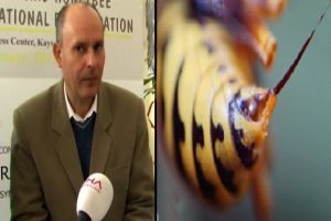 Tıpta yeni y&ouml;ntem: Arı zehiri tedavisi