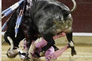 Bu matador uslanmaz...&Ouml;l&uuml;mden d&ouml;nd&uuml;, arenalara d&ouml;n&uuml;yor