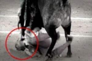 O matador boğa g&uuml;reşine d&ouml;nd&uuml;