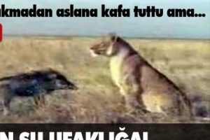 Bak sen şu ufaklığa!