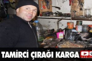 Tamirci &ccedil;ırağı karga