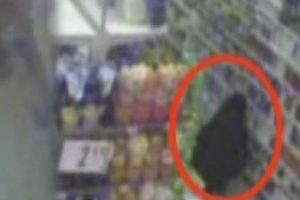 Nevruz bombacıları b&ouml;yle yakalandı