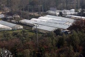 Tarsus'ta sera kazanı patladı: 1 &ouml;l&uuml;