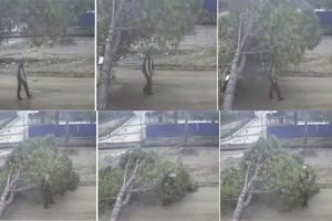 &Ouml;l&uuml;mden kıl payı kurtuluş buna denir