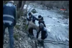 Boğulmak &uuml;zere olan kurda suni teneff&uuml;s